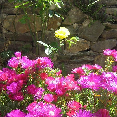 גלנבי Liosderrig House B&B מראה חיצוני תמונה