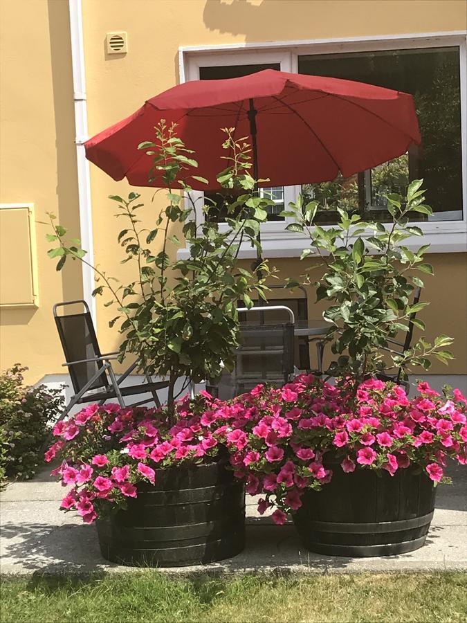 גלנבי Liosderrig House B&B מראה חיצוני תמונה